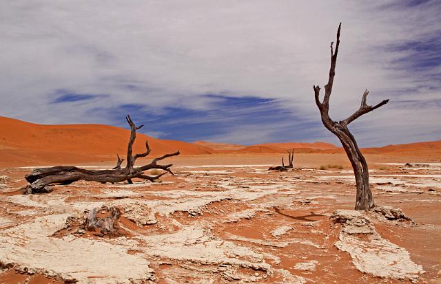 084 Hidden Vlei.JPG